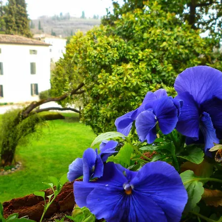 Verita Parona di Valpolicella